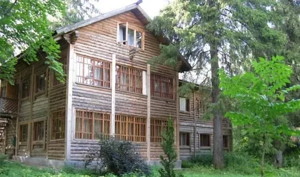 Таежные дачи — фото 3