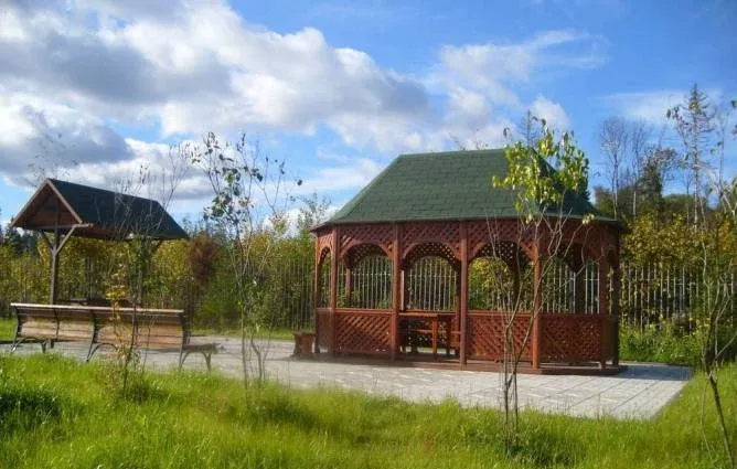 Красная гвоздика — фото 3