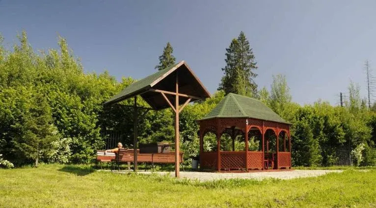 Красная гвоздика — фото 5