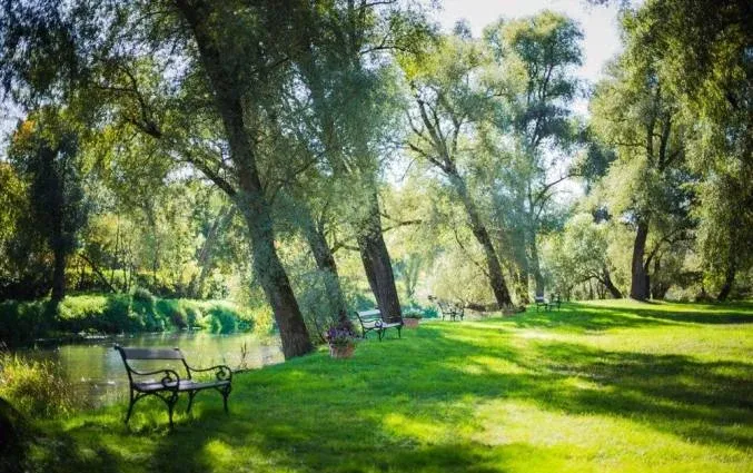 Клуб «Лужки.клуб» — фото 3
