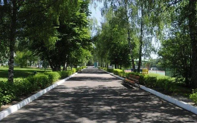 База отдыха «Красная гвоздика» — фото 3