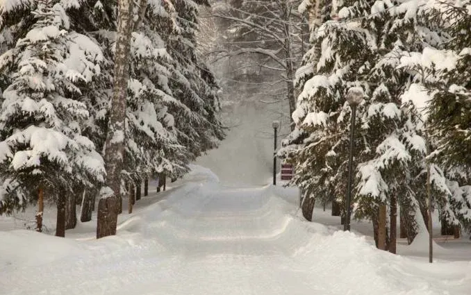 Загородный отель «Отеля Яхонты Истра» — фото 4
