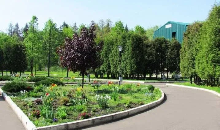 Социально-оздоровительный центр «Лесная поляна» — фото 5
