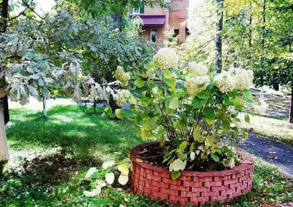 Оздоровительный центр «Призыв»