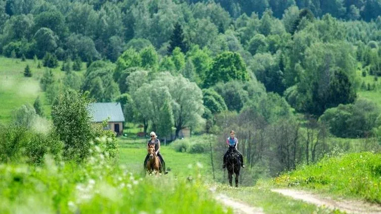 Конная база «Храброво» — фото 2