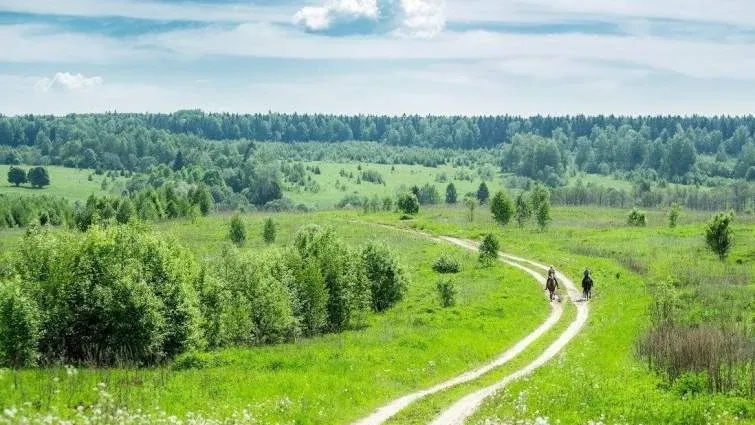 Конная база «Храброво» — фото 4