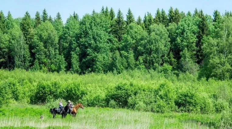 Конная база «Храброво» — фото 5