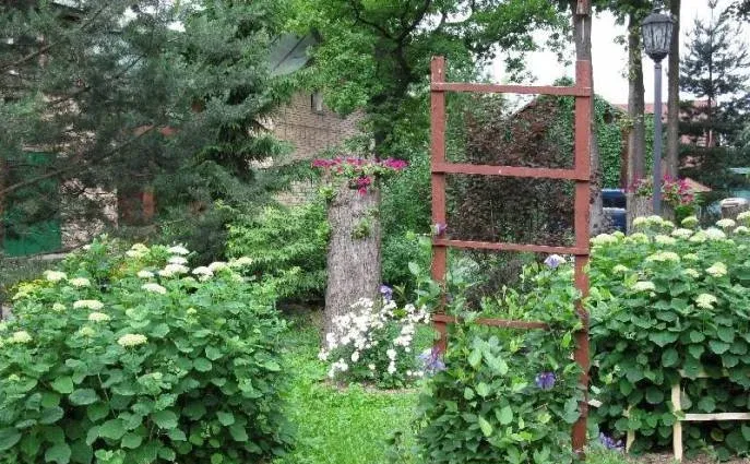 Сокольники — фото 5