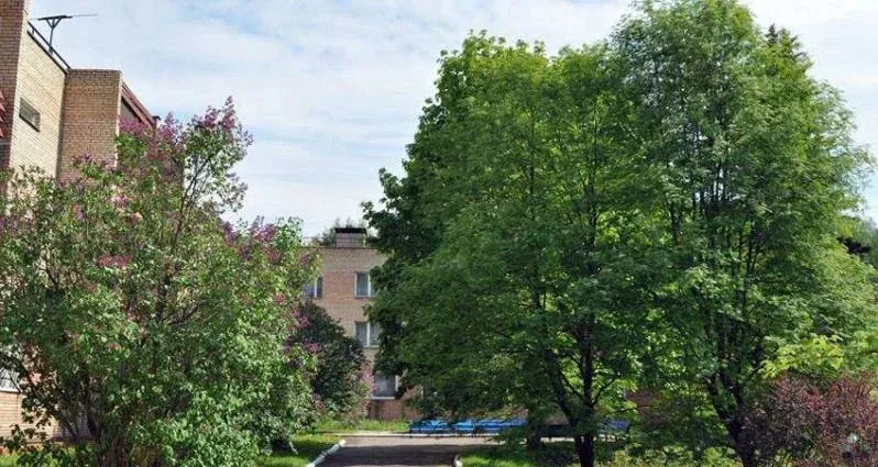 Дружба — фото 3