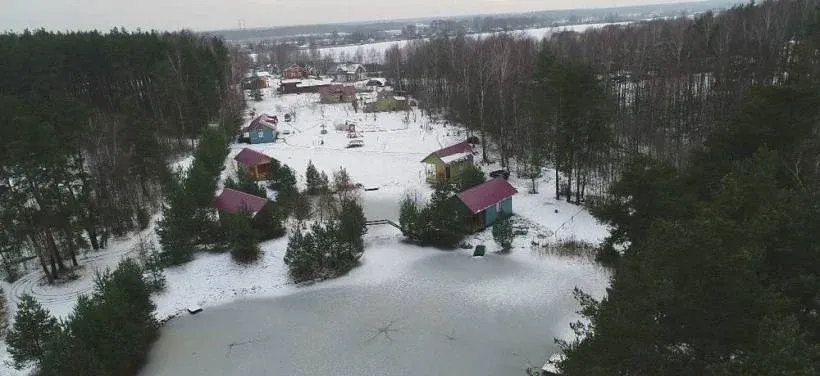 Березовый мостик