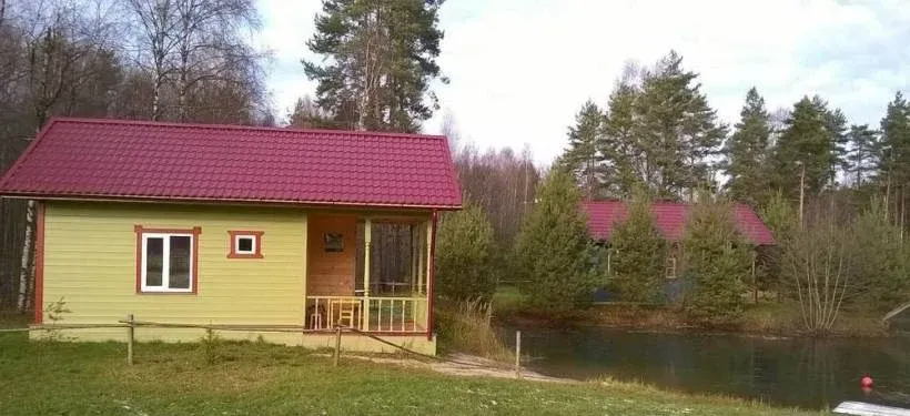 Березовый мостик — фото 3