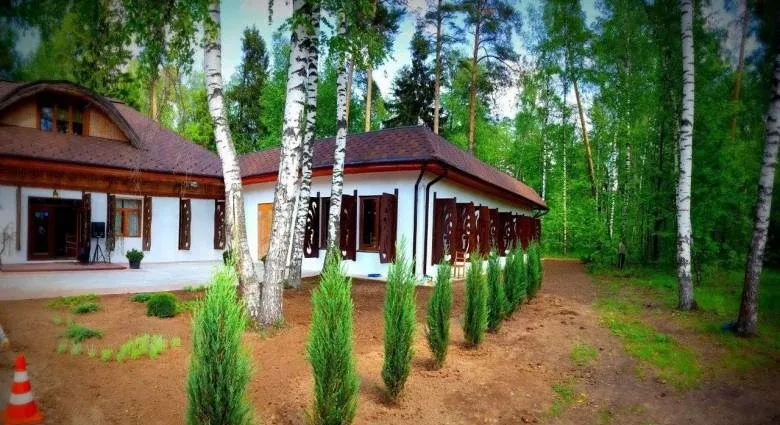Центр отдыха «Гуси-Лебеди» — фото 4