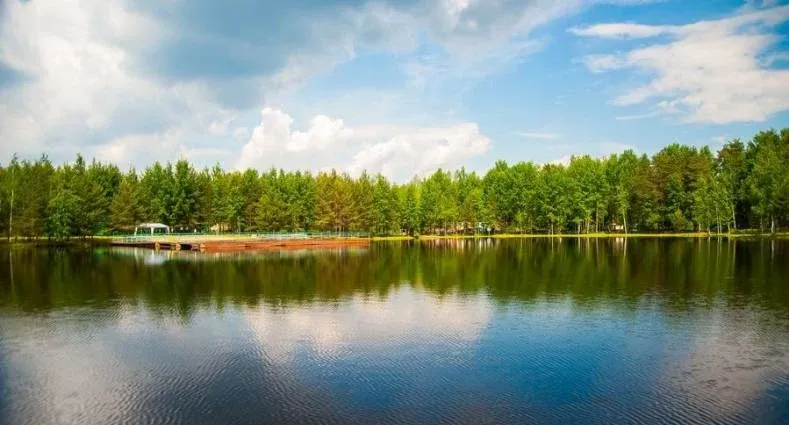 Парк-отель «Анива» — фото 3