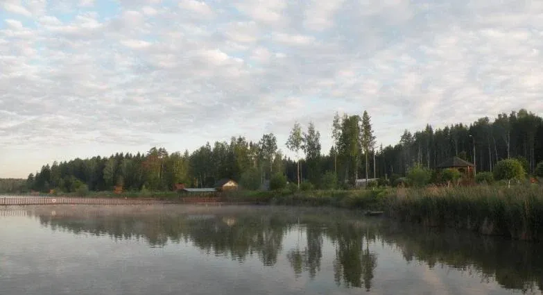 Рыболовная база «Кубинка Рыбалка парк» (Kubinka Fishing park) — фото 5