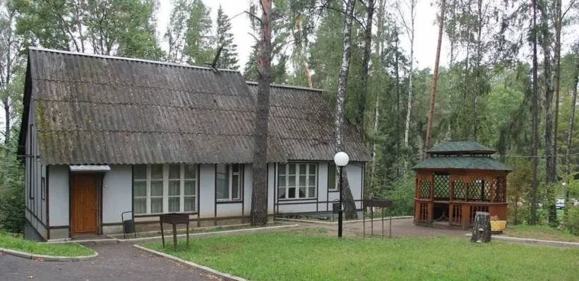 Солнечная поляна — фото 3