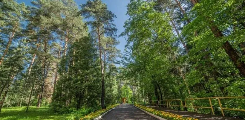 Солнечная поляна — фото 5