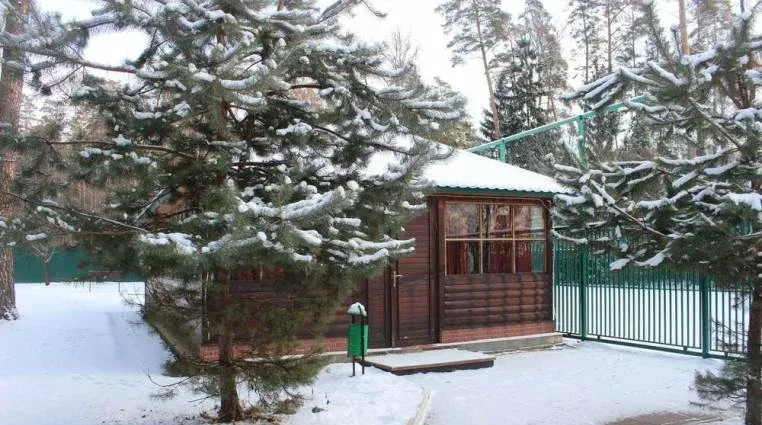 Университетский — фото 3