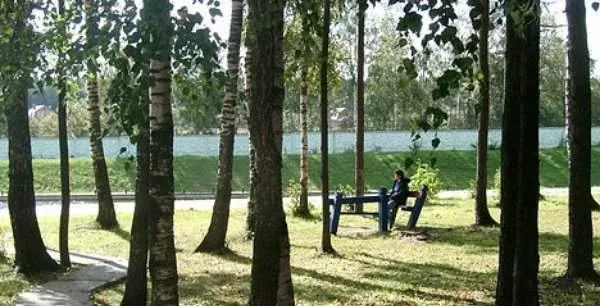 Ликино