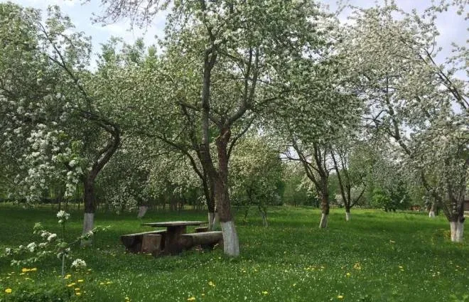 База отдыха «Русская усадьба» — фото 4