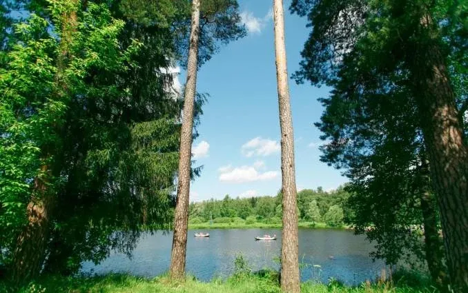 Центр отдыха «Зелёный городок» — фото 2