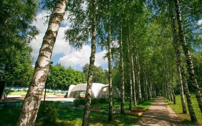 Центр отдыха «Зелёный городок» — фото 5