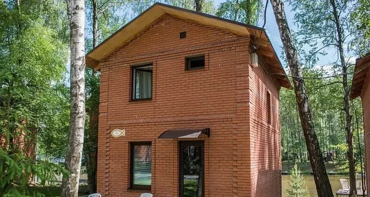 Золотая рыбка — фото 2