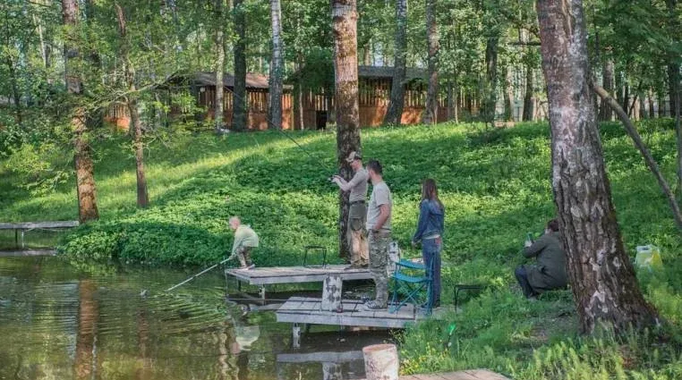 Золотая рыбка — фото 3