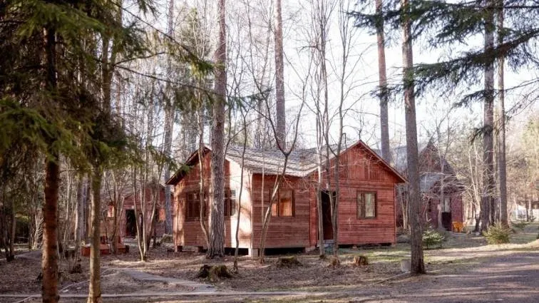 «Истра Жизнь» (IstraLife) — фото 2
