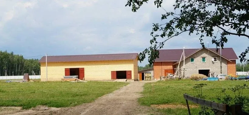 Усадьба «Красивая» — фото 5