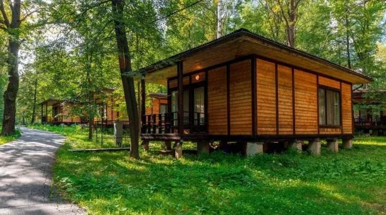 Фореста Фестиваль Парк (Foresta Festival Park) — фото 4