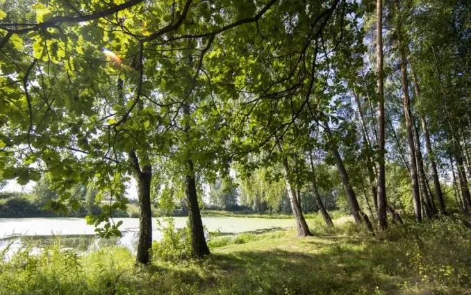 «Санаторий им. Горького» — фото 4
