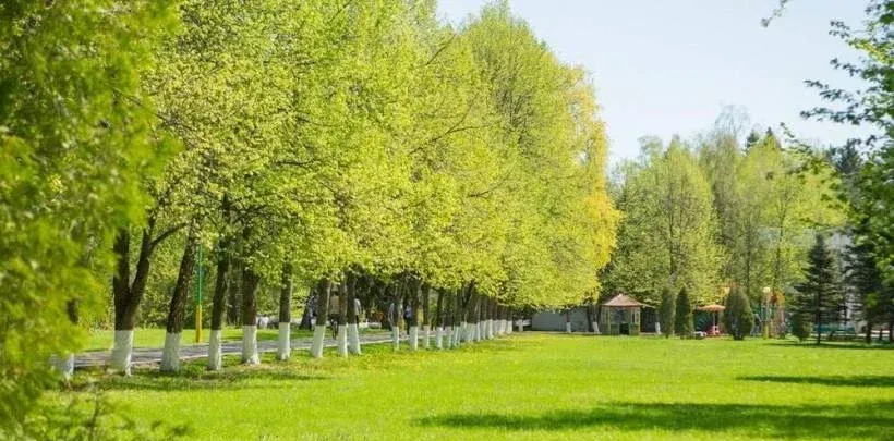 Десна — фото 2