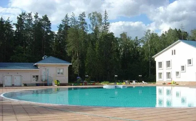 Лесные поляны — фото 2