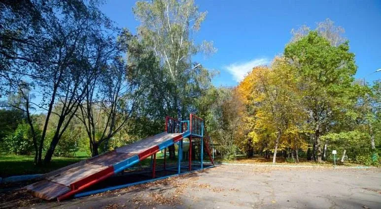Лесные поляны — фото 5
