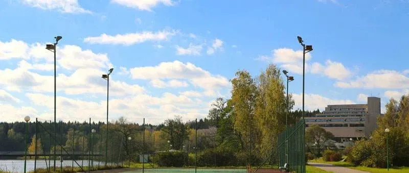 Вороново