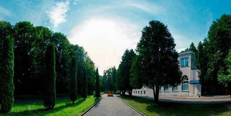 Литвиново — фото 3
