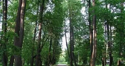 Рождественское — фото 2