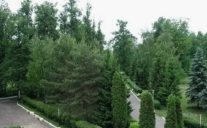 Рождественское — фото 4