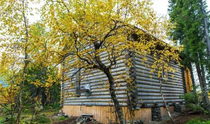 База отдыха «У Сейдозера»