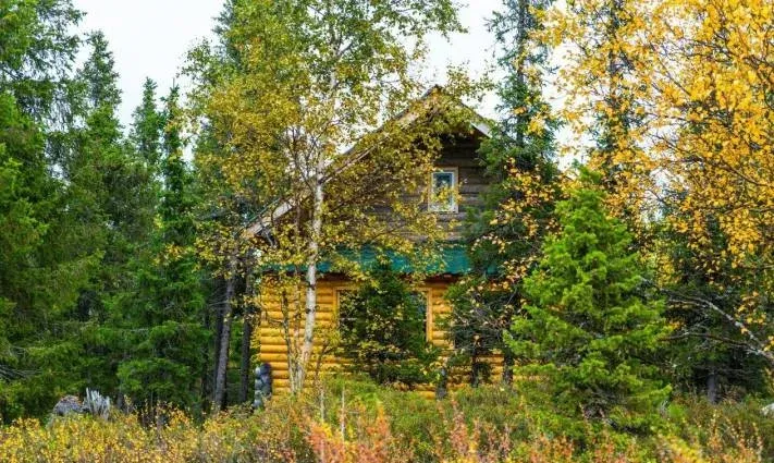 База отдыха «У Сейдозера» — фото 2