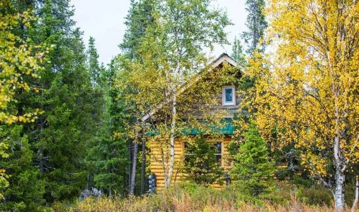 База отдыха «У Сейдозера» — фото 3
