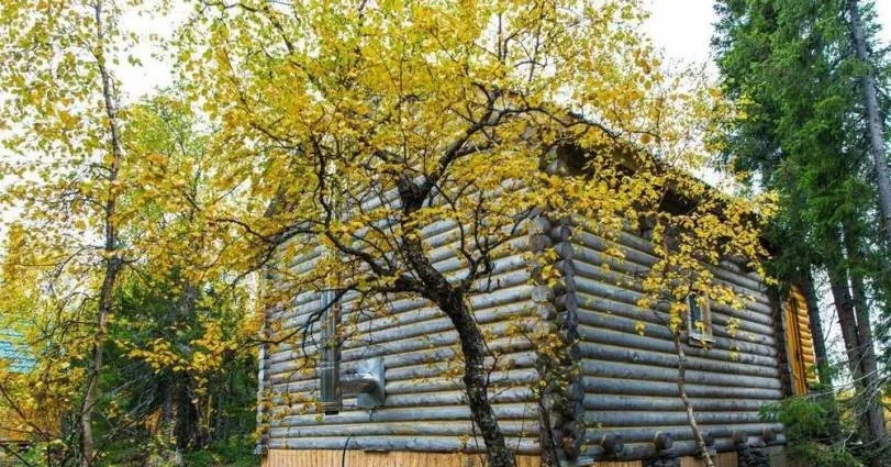 У Сейдозера — фото 4