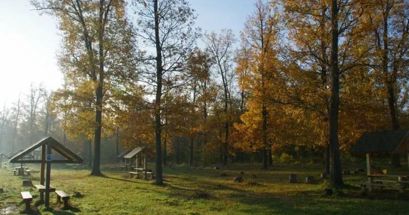 Загородный отель «Волга» — фото 4