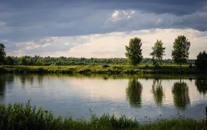 База отдыха «Чижковское озеро»