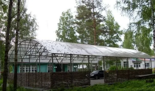 Березка — фото 2