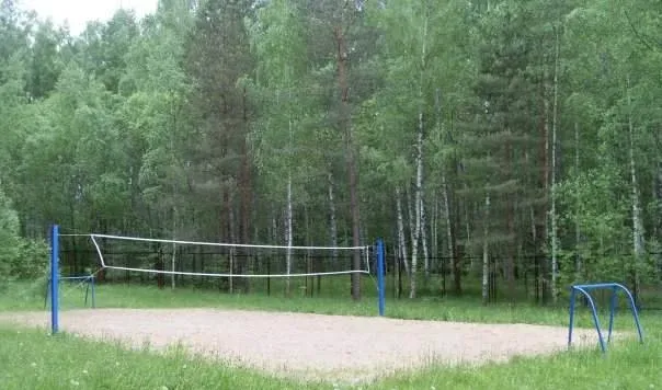 Березка — фото 3