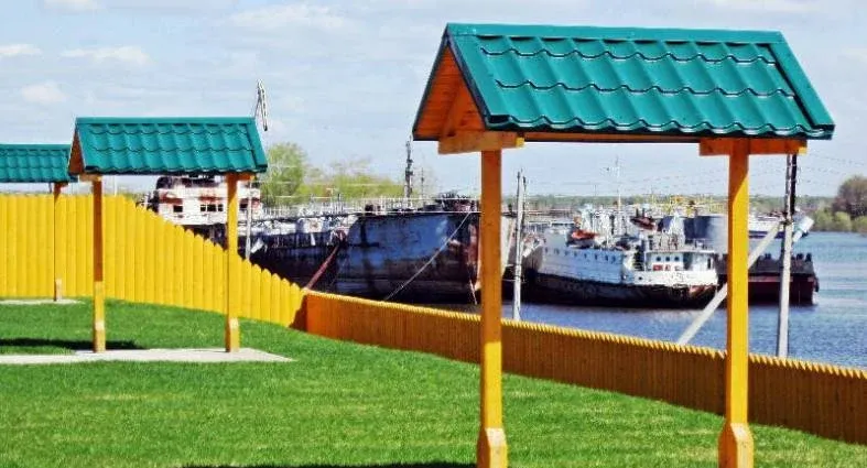 Золотая рыбка — фото 5