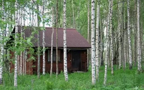 База отдыха «Великое озеро»