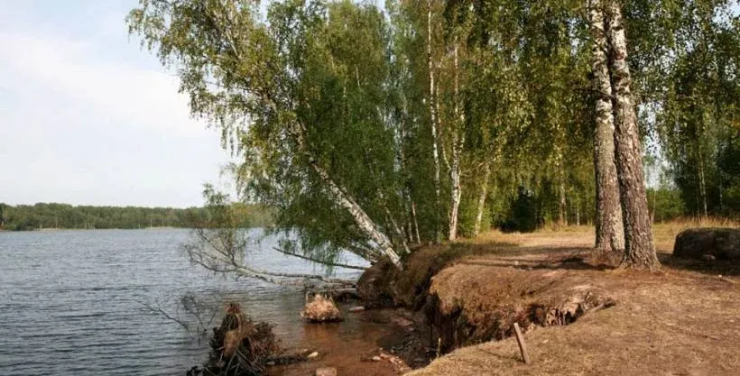 База отдыха «Великое озеро» — фото 4