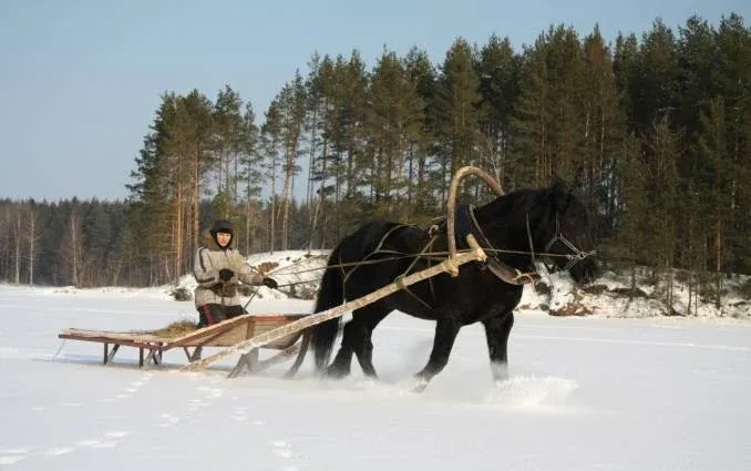 Усадьба «Русская деревня» — фото 5